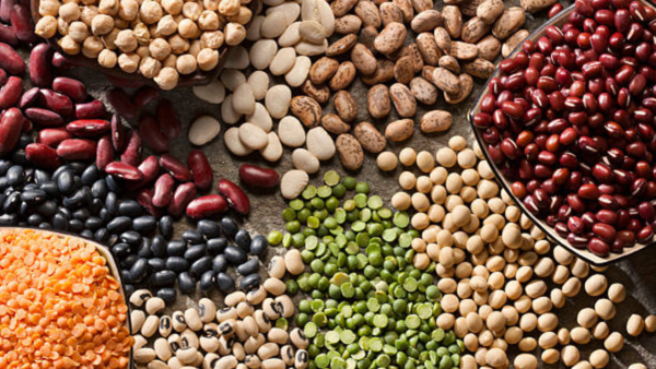 legumes